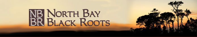 North Bay Black Roots